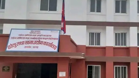 पाल्पामा एक वर्षमा एक सय ४३ फर्म खारेज